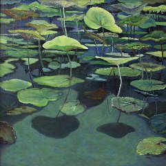 Water Lilies in Still Water